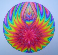 DSCN245311